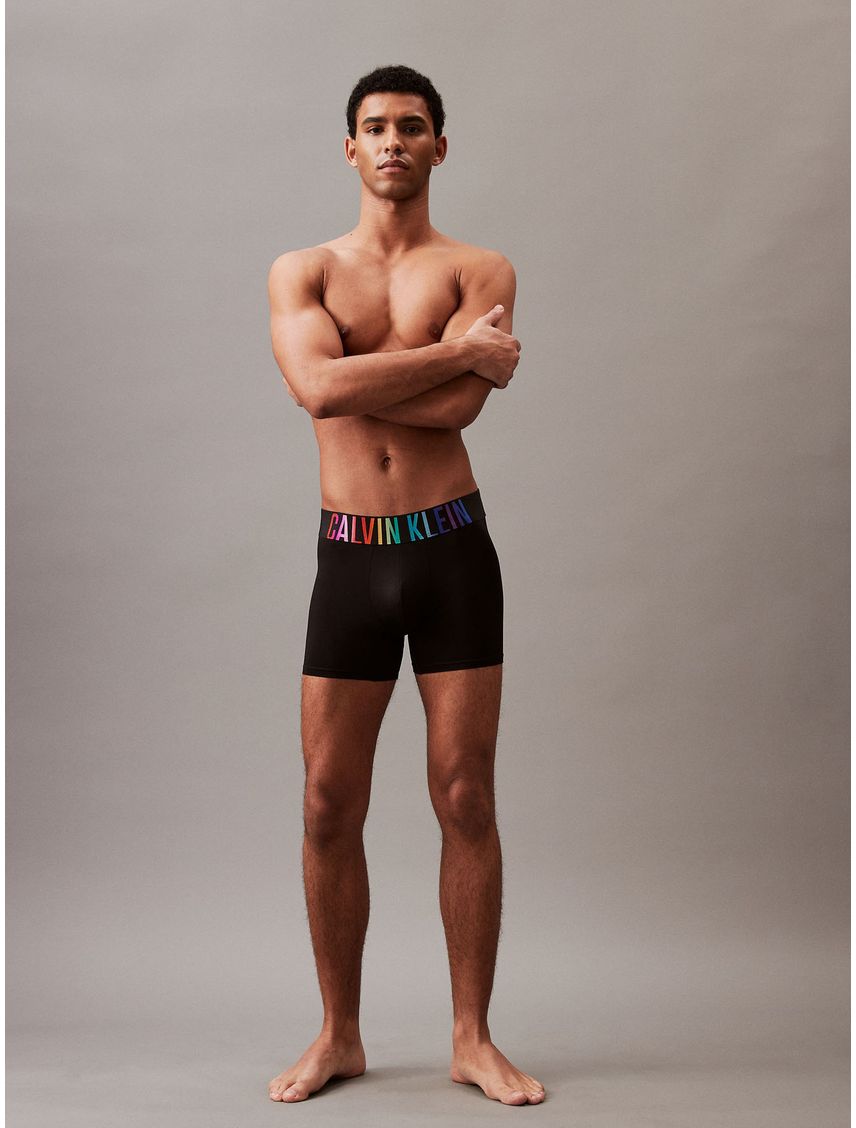 Boxer brief - intense power pride