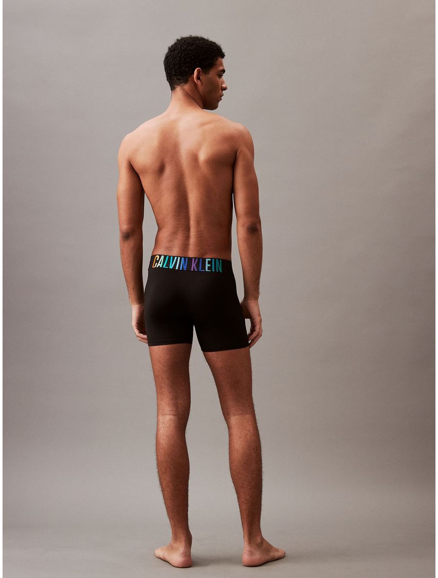 Boxer brief - intense power pride