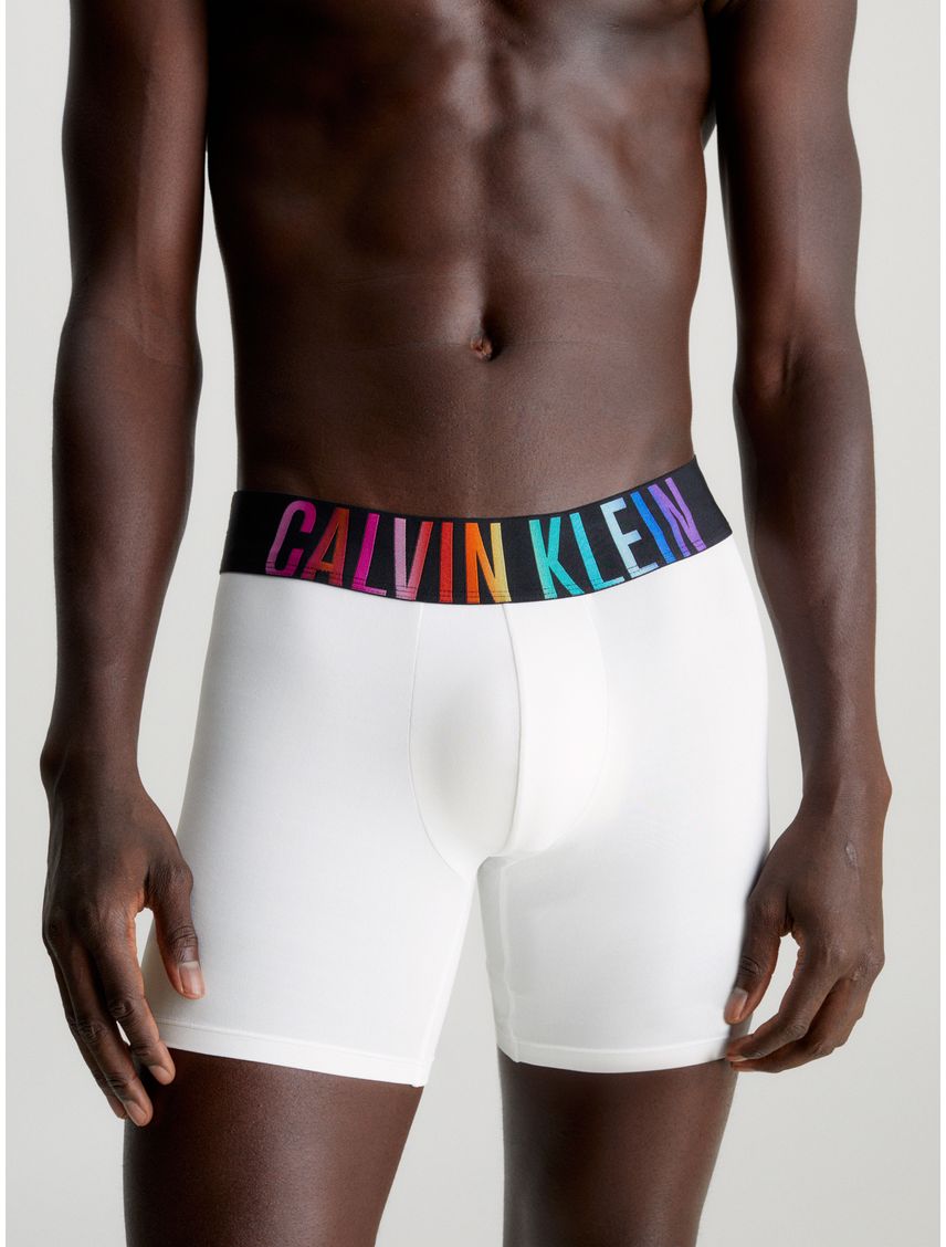 Boxer brief - intense power pride
