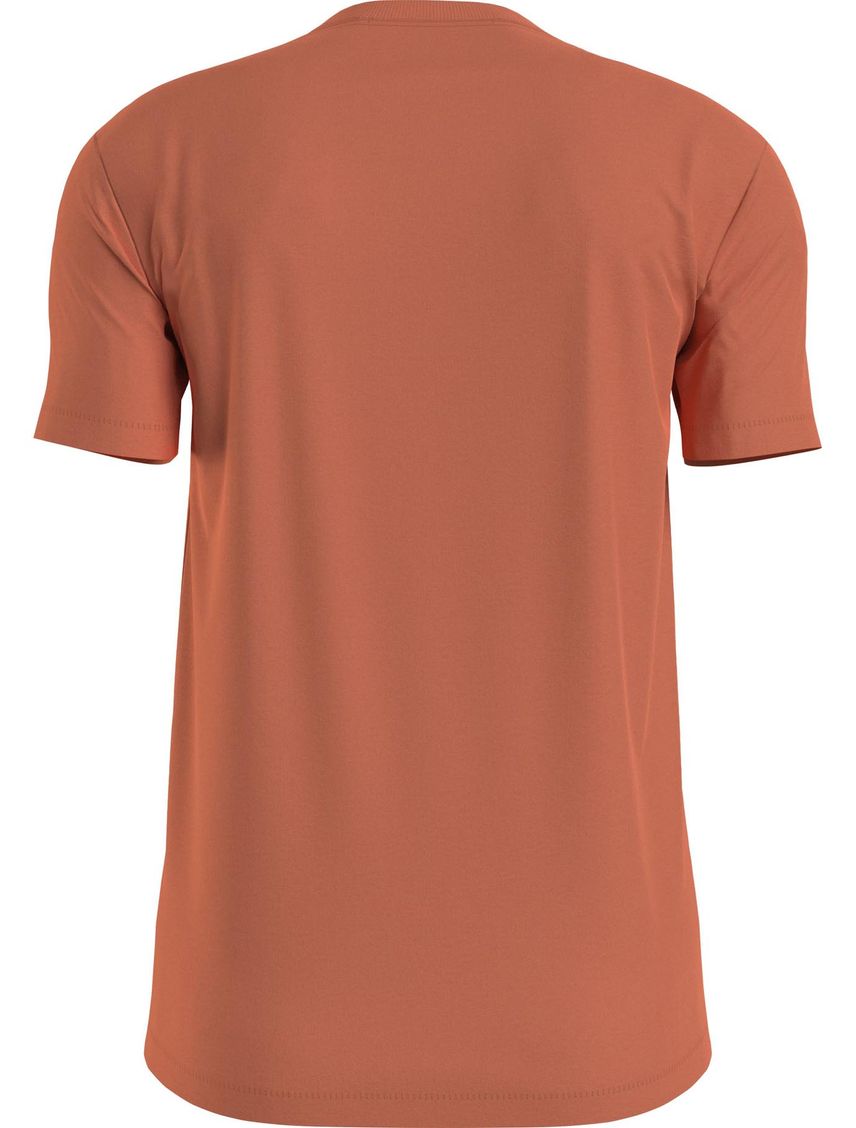 Remera slim con logo institutional