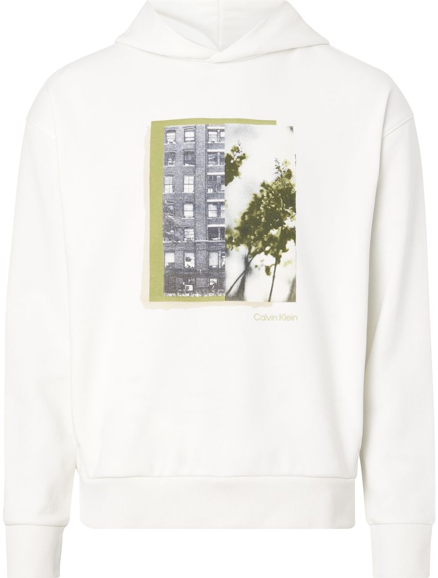 Buzo confort con capucha y photo print