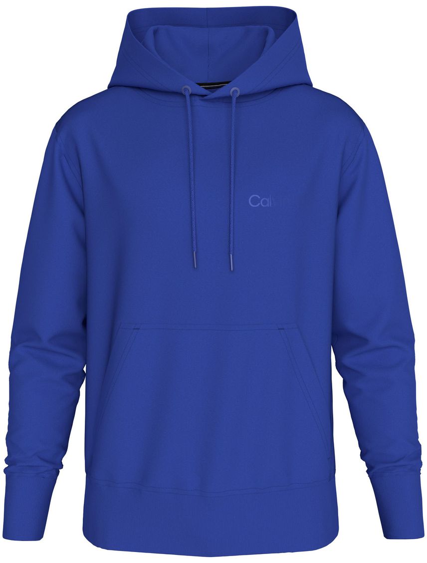 Buzo institutional con capucha