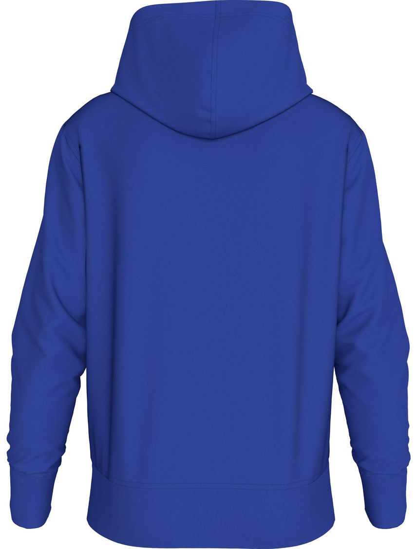 Buzo institutional con capucha