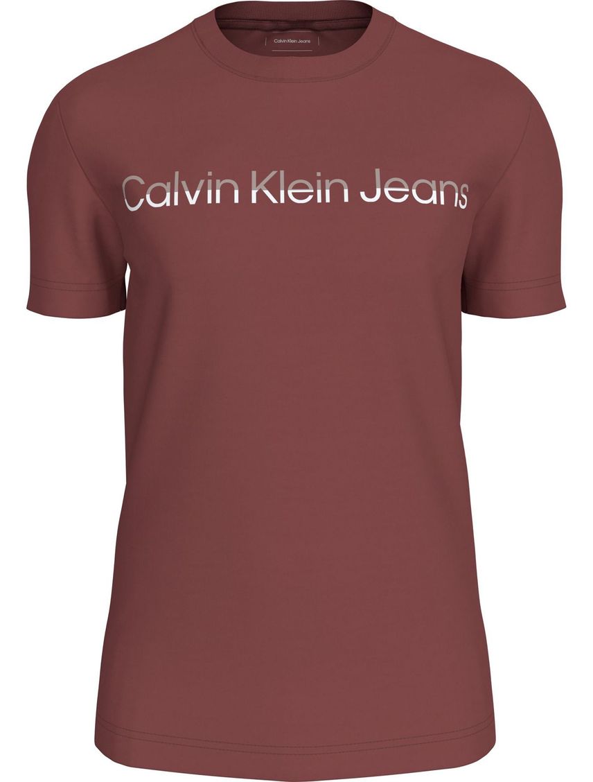 Remera con logo institutional bicolor
