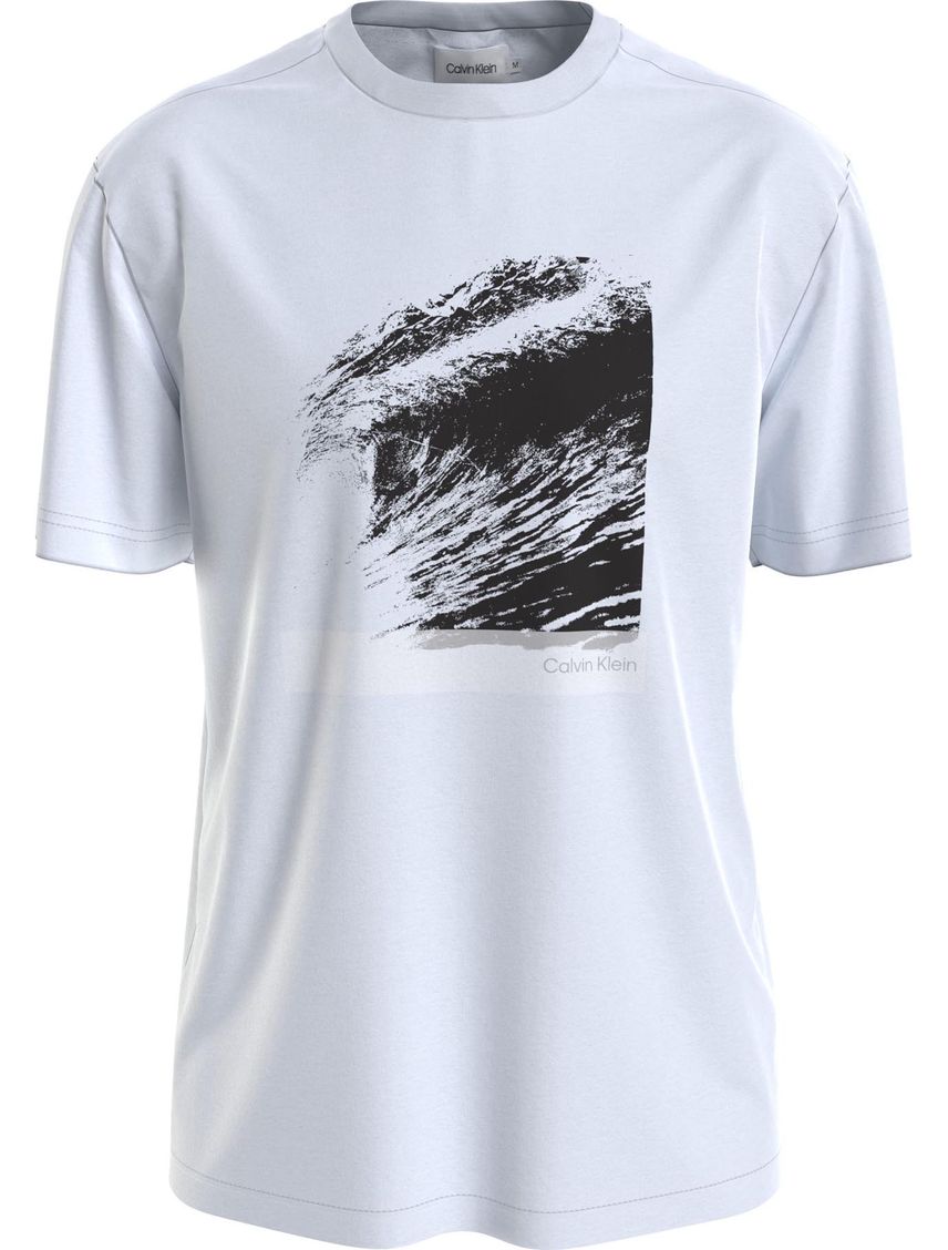 Remera con gráfico