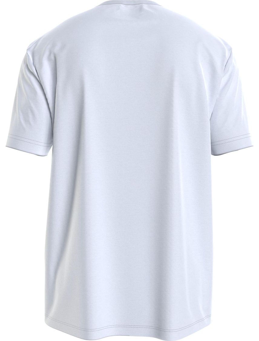 Remera con gráfico